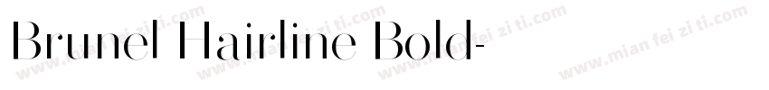 Brunel Hairline Bold字体转换